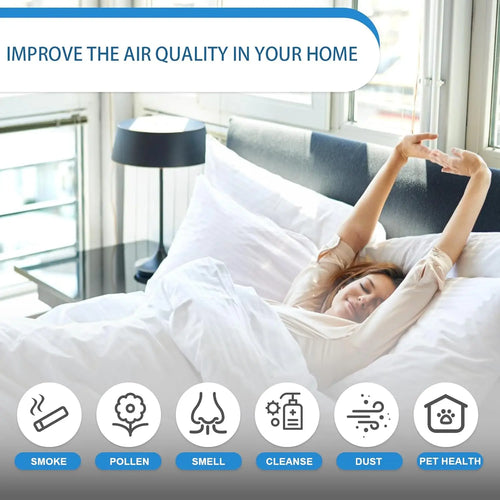 Water-Based Air Purifier & Home Freshener